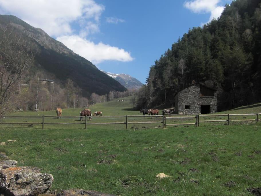 Apartament Gran Pirineu Montferrer Kültér fotó